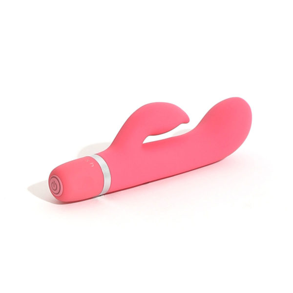 B Swish Bwild Classic Marine Guava 03