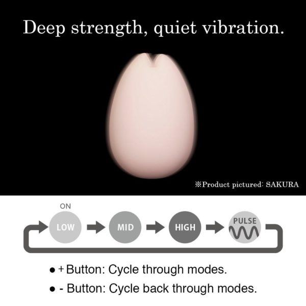TENGA iroha SAKURA - Image 6